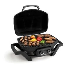Napoleon PRO 285 TravelQ Gasgrill 4,1 KW 2 Brenner Campinggrill Grill PRO285-BK -Grillwerkstatt 000379270000 6 1280x1280