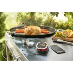 Weber IGrill 2 Thermometer Mit Zwei Messfühler -Grillwerkstatt 000464890000 2 1280x1280