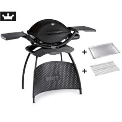 Weber Gasgrill Q 2200 Black Mit Stand Inkl. Hitzeschild Und Bratenrost