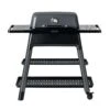 Everdure Force Gasgrill 2-Brenner Mit Doppelboden Farbe Graphite E2G4G