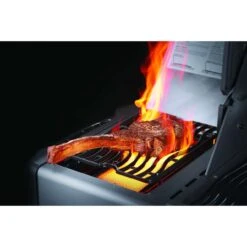 Napoleon Prestige 665 Edelstahl Gasgrill 29,7 KW 7 Brenner Inkl. SIZZLE ZONE P665RSIBPSS -Grillwerkstatt 000524290000 4 1280x1280